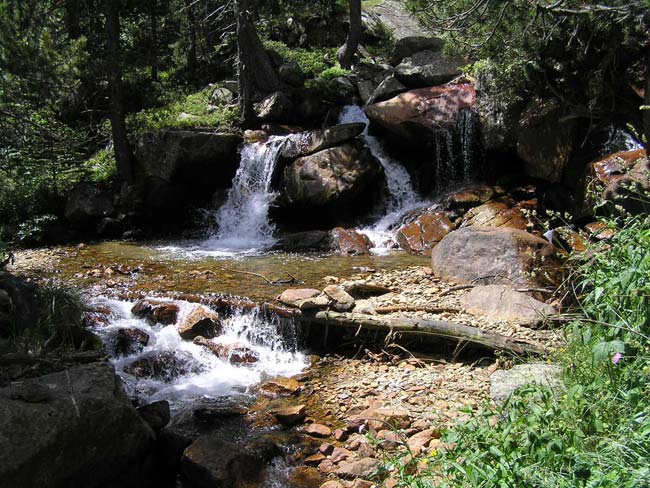 Imagen de un riachuelo bajando cerca del Camping del Remei, imagen visible a la página características del camping.